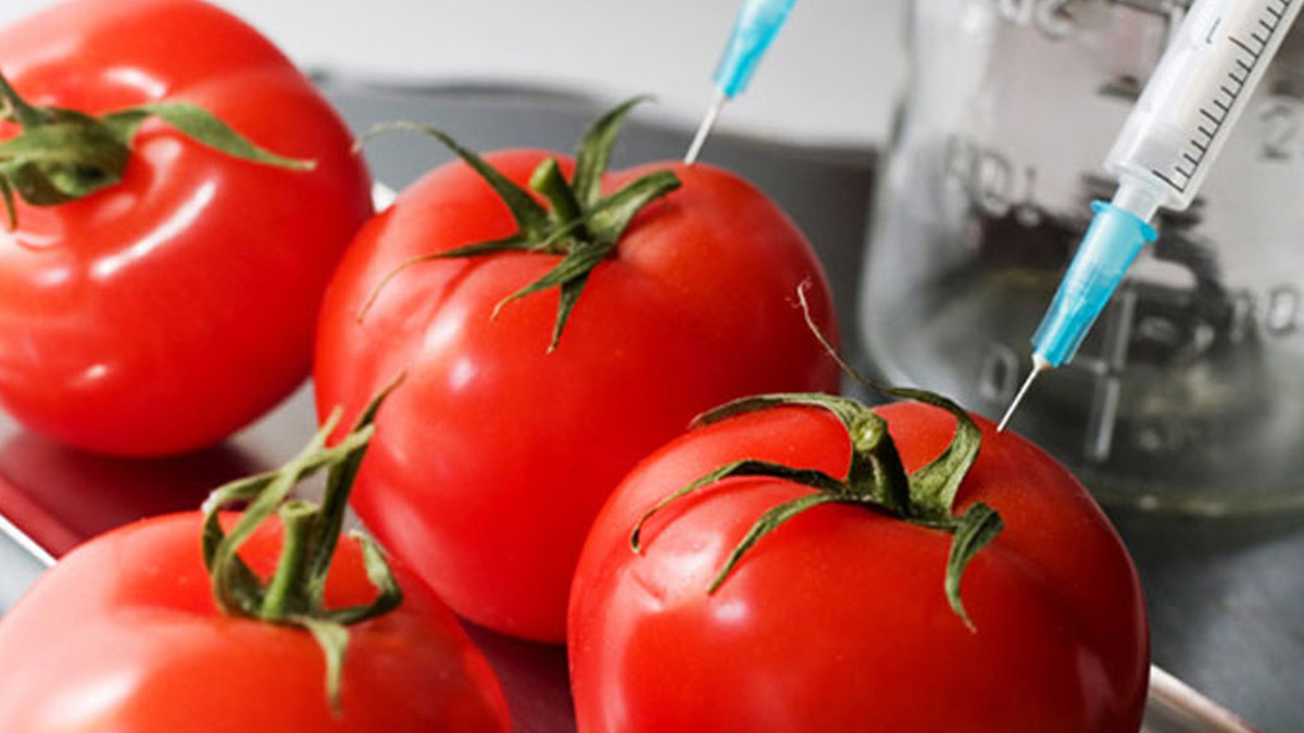 'Gıda sansürü'nde geri adım