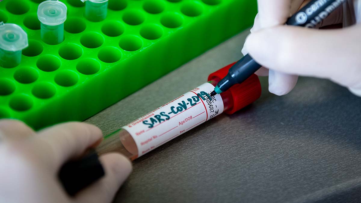 CHP korona takip merkezi kurdu: Ölüm listeleri toplanacak