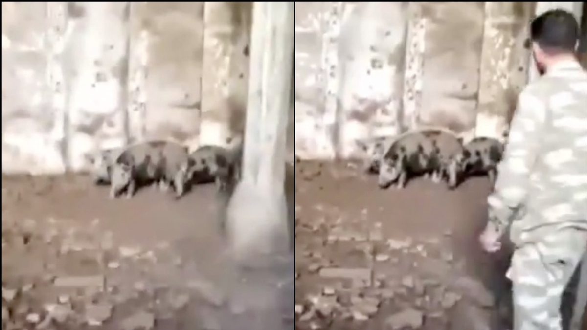 Ermenistan'dan büyük saygısızlık: Tarihi cami ahıra dönüştürülmüş