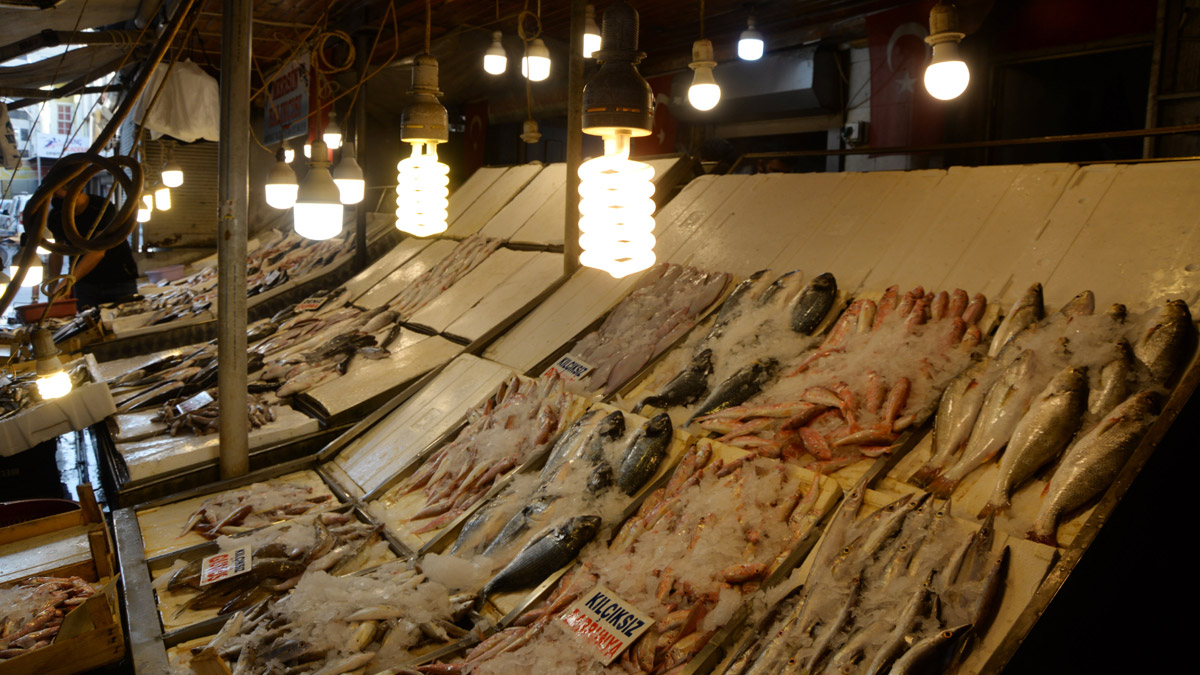 Balıkta 'renkli ışık' oyununa dikkat