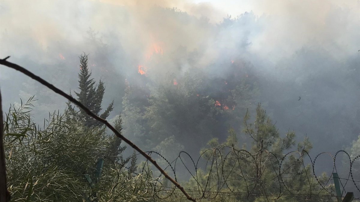 İskenderun'da orman yangını çıktı