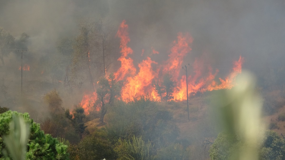 Yine 'şüpheli' yangınlar! 6 noktadan alevler yükseldi