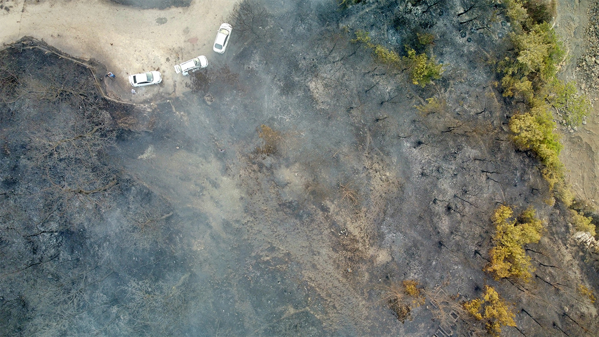 İskenderun'daki orman yangının boyutu gözler önüne serildi
