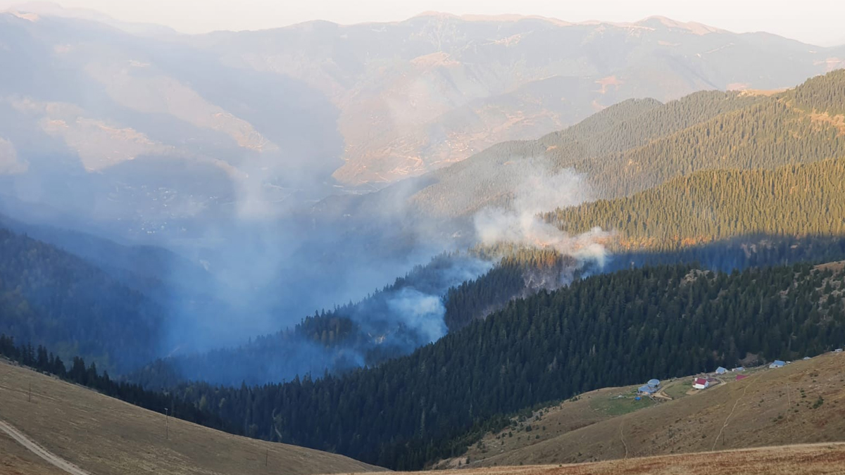 Gümüşhane'deki Örümcek Ormanları'nda yangın