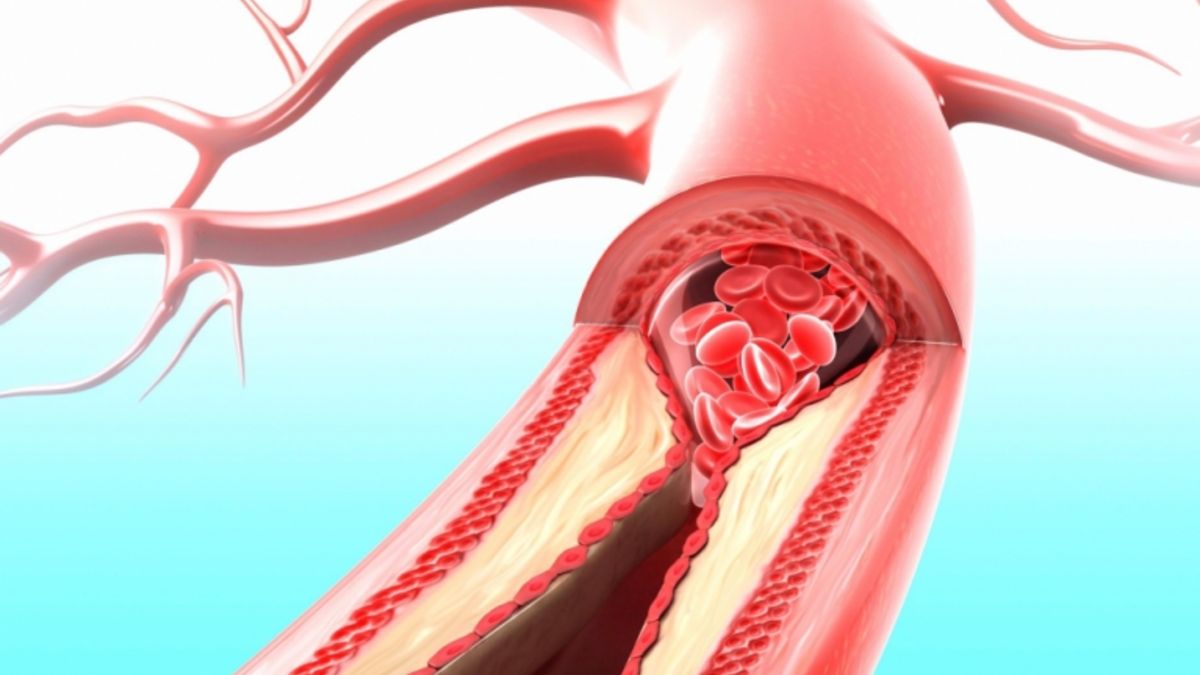 Faydalı kolesterol nedir?