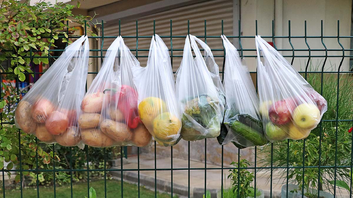 Gıda enflasyonu yüzde 16 oldu, meyve ve sebze fiyatları yüzde 20 zamlandı