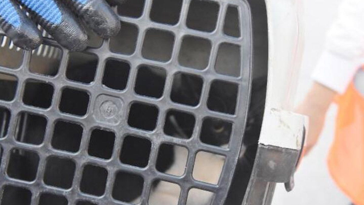 İzmir'de enkazdan 97 saat sonra bir kedi sağ kurtuldu