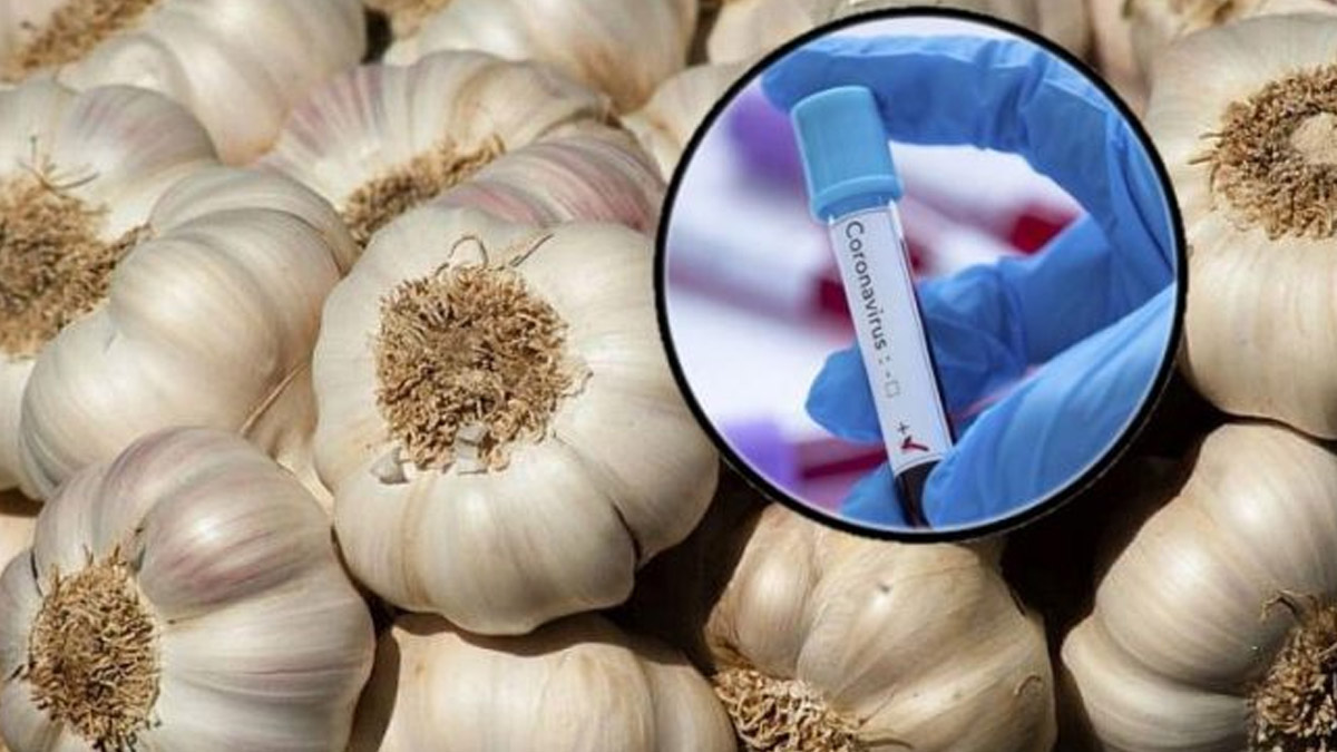Sarımsakla şifa arayanlara kötü haber: Koronavirüse karşı koruma özelliği yok