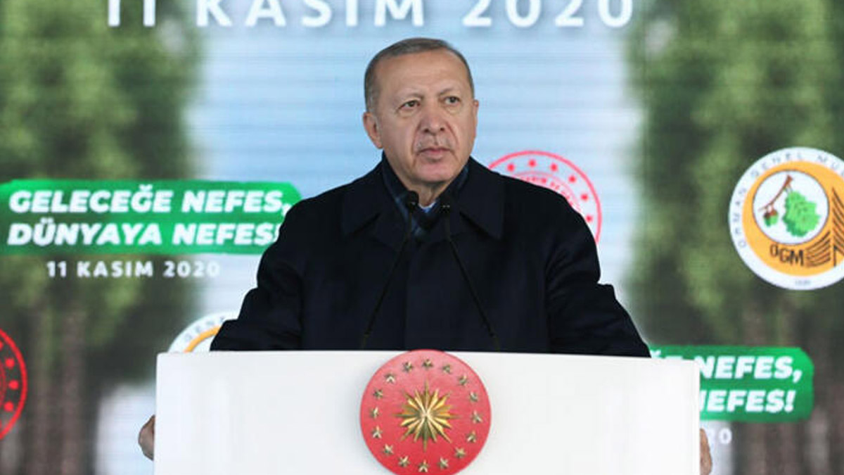 Cumhurbaşkanı Erdoğan: 12 milyon çocuğa fidan dağıtılacak