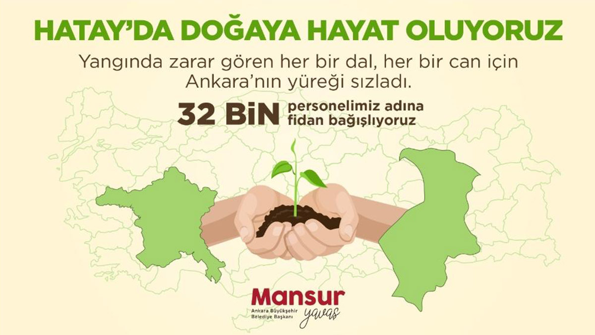 Ankara Büyükşehir'den Hatay'a 32 bin fidan desteği