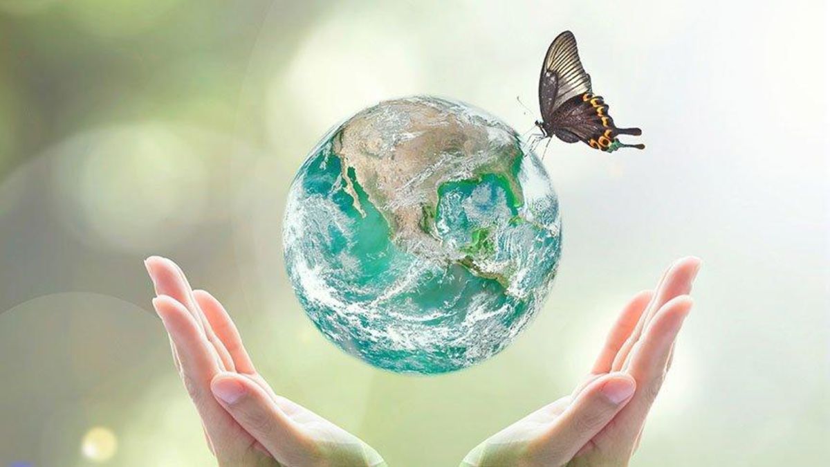 Kelebek etkisi nedir?