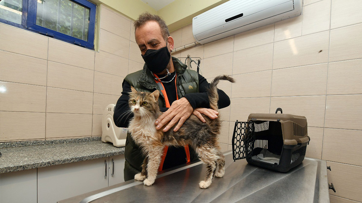 Depremzede kediyi Haluk Levent sahiplendi