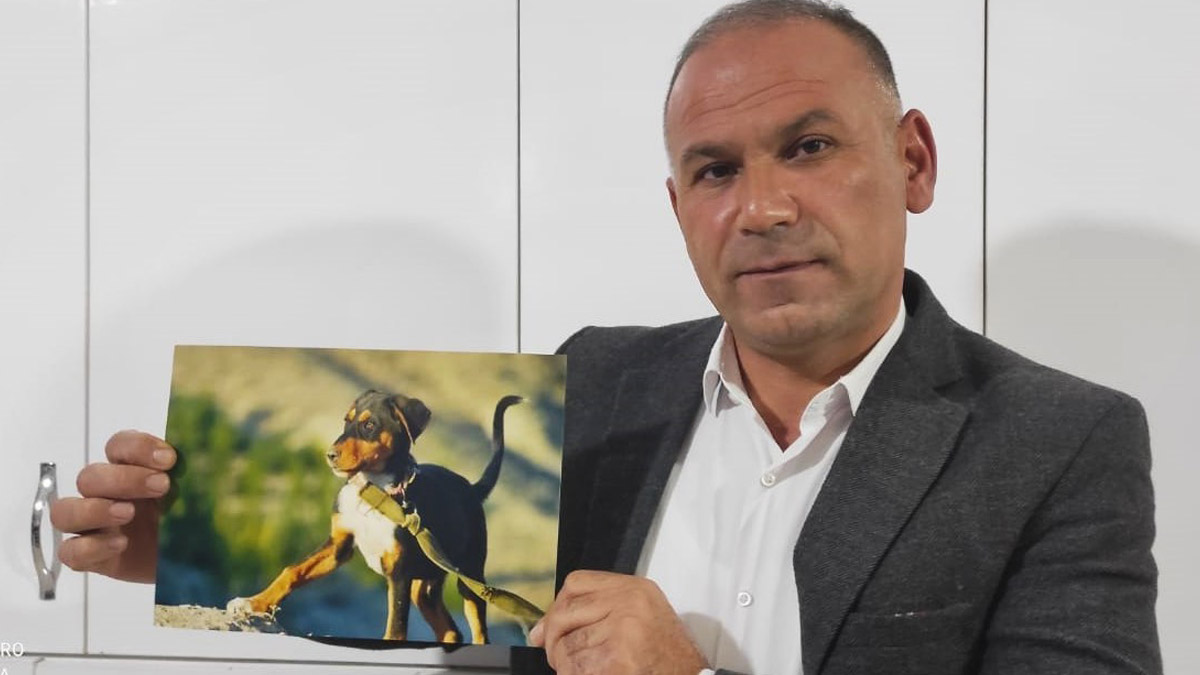 Çalınan köpeğini bulana arabasını hediye edecek