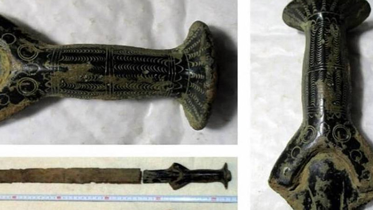 Çekya'da bir kişi mantar toplarken 3300 yıllık tarihi eser buldu