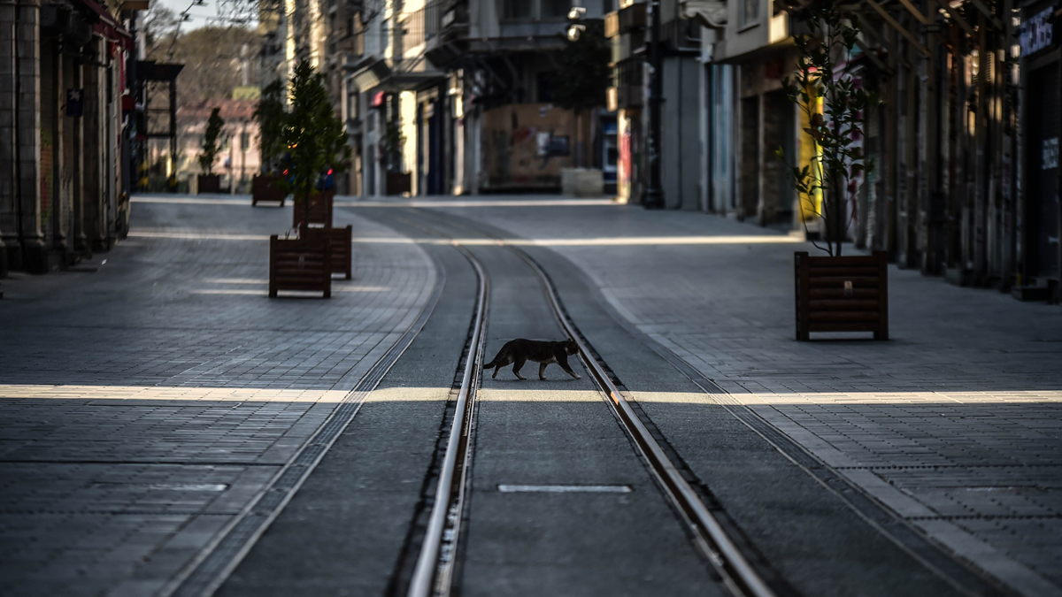 İçişleri Bakanlığı'ndan 81 ile koronavirüs genelgesi! Detaylar belli oldu