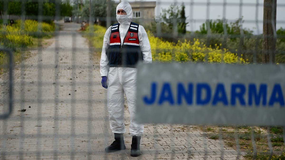 Düzce ve Ardahan'da karantina kararları