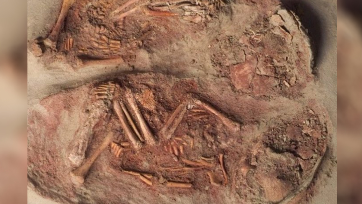 30 bin yıllık mezardan çıkan 'ikizler' şaşırttı