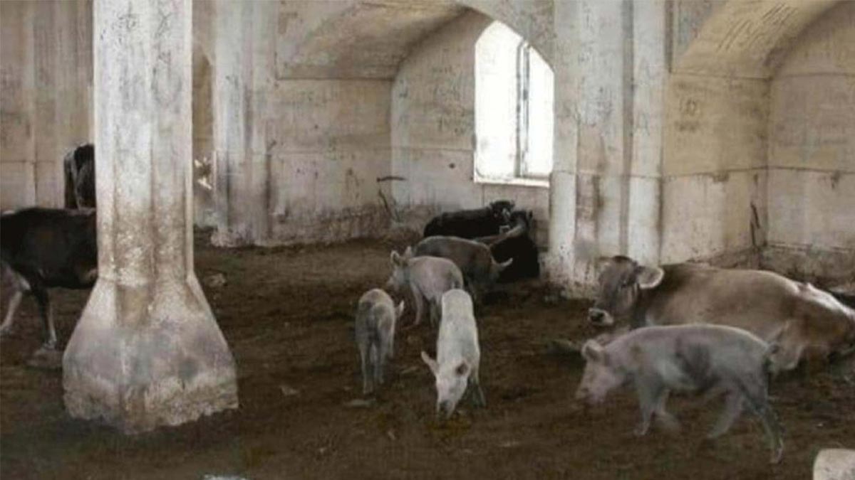 Ermenistan'ın işlediği savaş suçları dünyaya duyurulacak