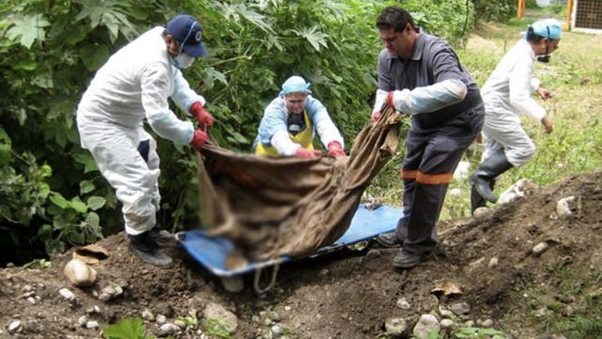 Meksika'da korkunç olay: Gizli mezarda 113 ceset bulundu