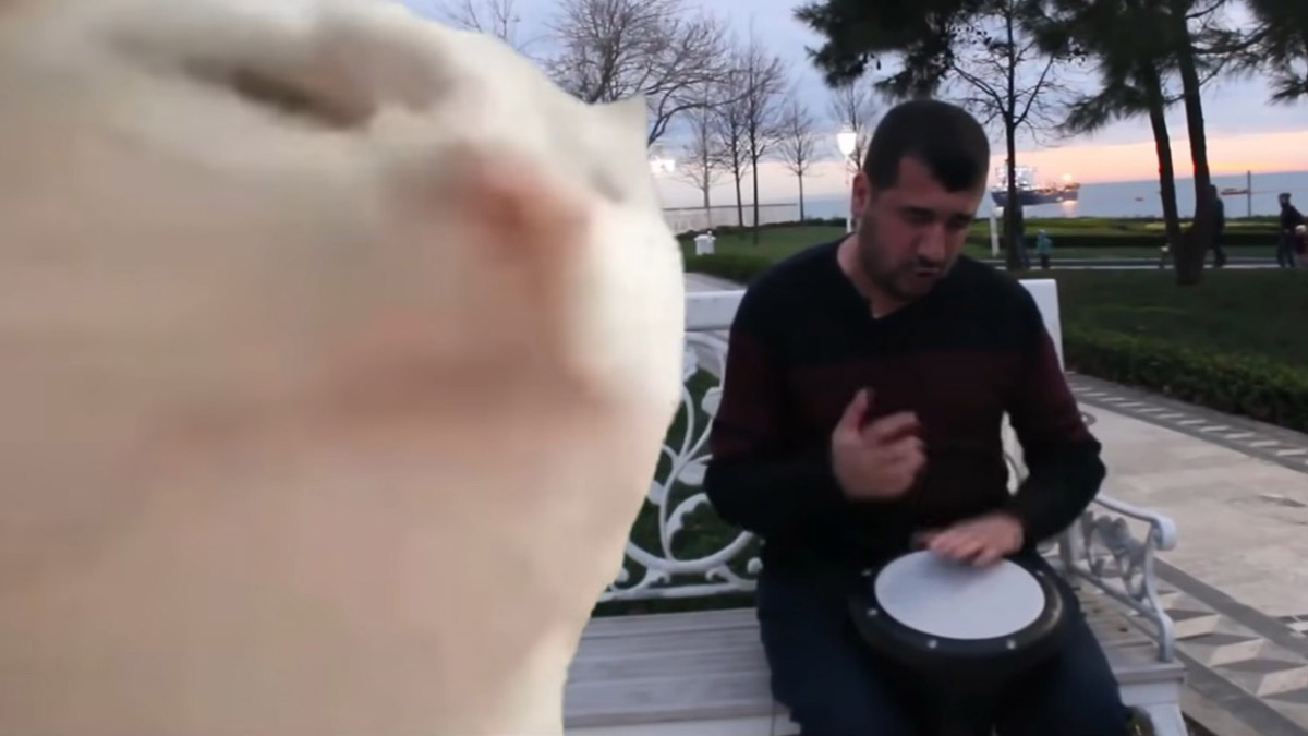 Bilal Göregen kimdir, kaç yaşında, nereli? 'Cat vibing' videosu dünyada viral oldu