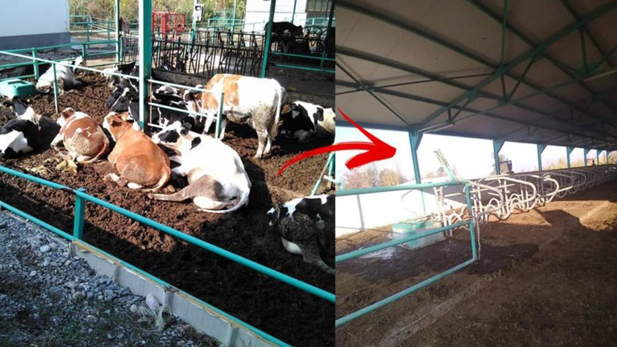 Çiftçi kan ağlıyor! 700 bin TL’lik borç 2,3 milyon TL’ye çıktı