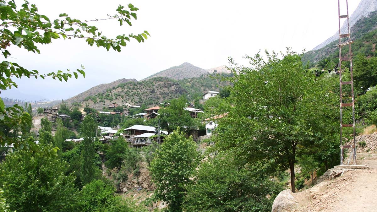 Kayseri'de ortak fırında ekmek pişiren 40 kadın koronavirüse yakalandı