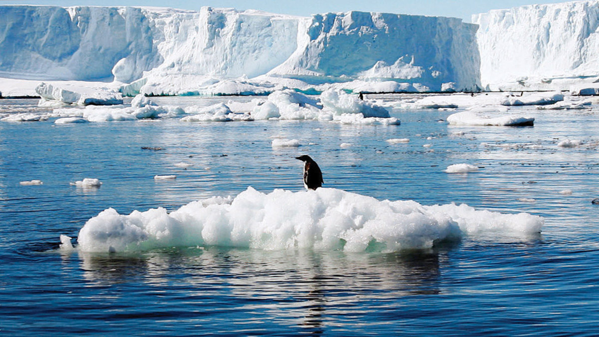 BM uyardı: Küresel ısınma 3 dereceye ilerliyor