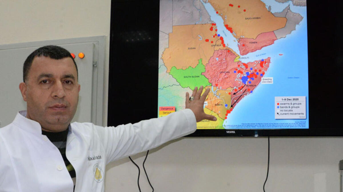 Prof. Dr. Ali Satar'dan çekirge istilası uyarısı