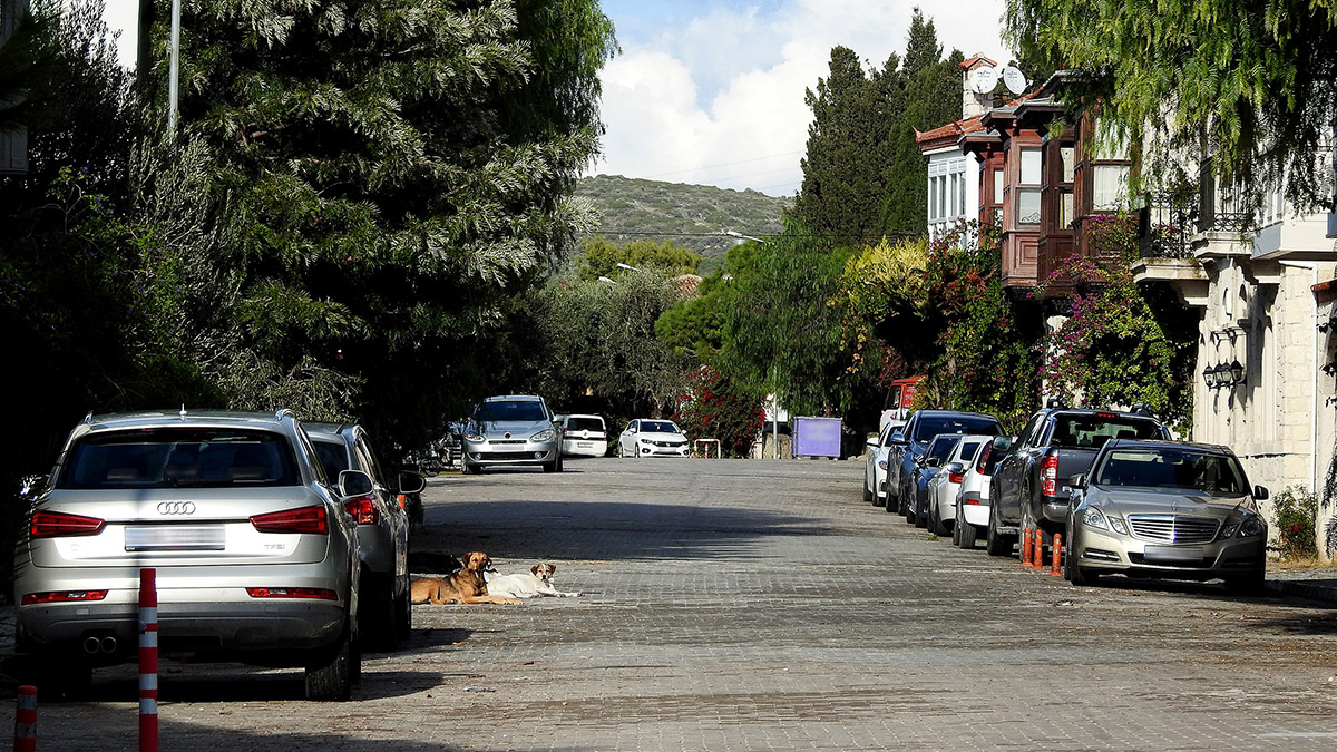 Deprem mi oldu? Ege yine sallandı! (AFAD ve Kandilli son depremler)