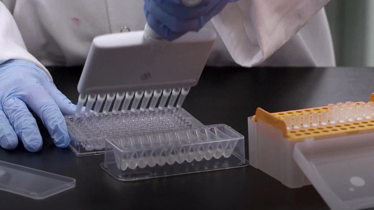 Ukrayna'dan haftada 2 milyondan fazla kişi aşılanacak