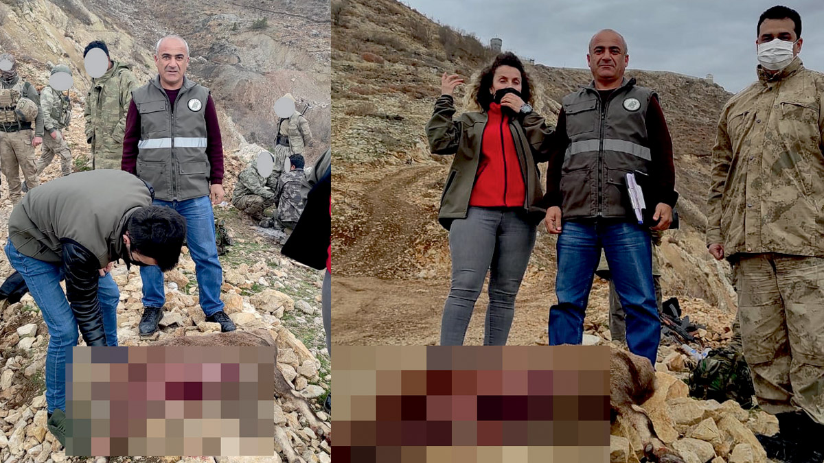 Koruma altındaki yaban keçisini avladı, 30 bin lira ceza yedi