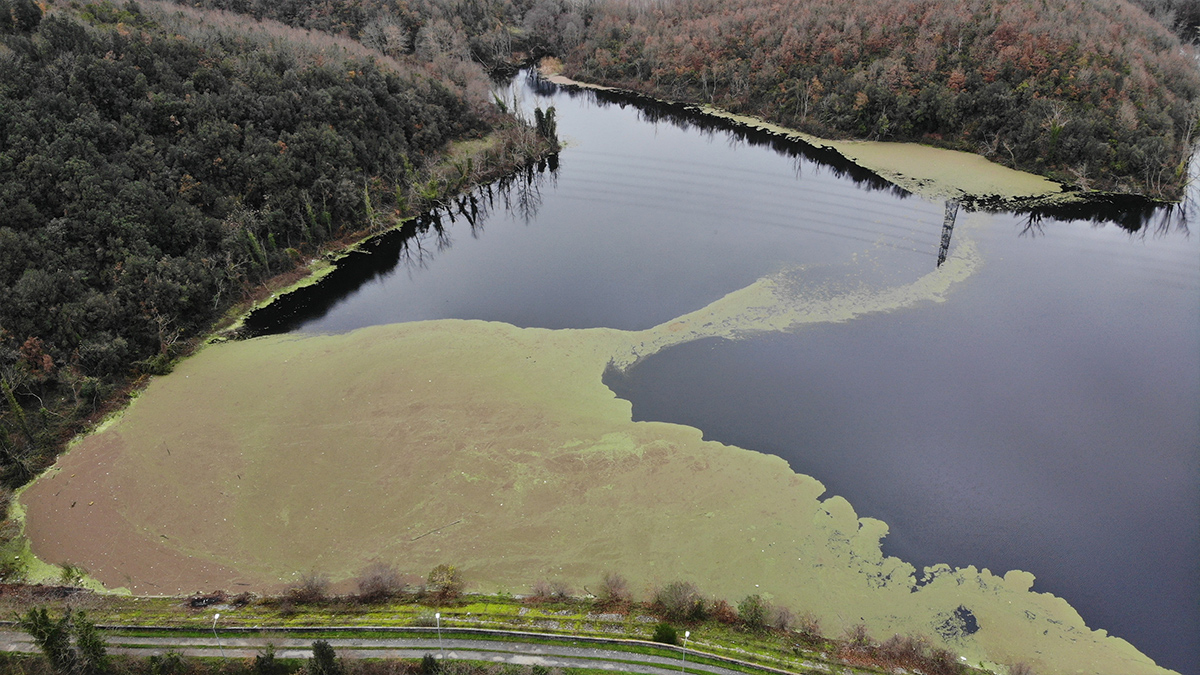 İstanbul'da barajların su seviyesi düşmeye devam ediyor