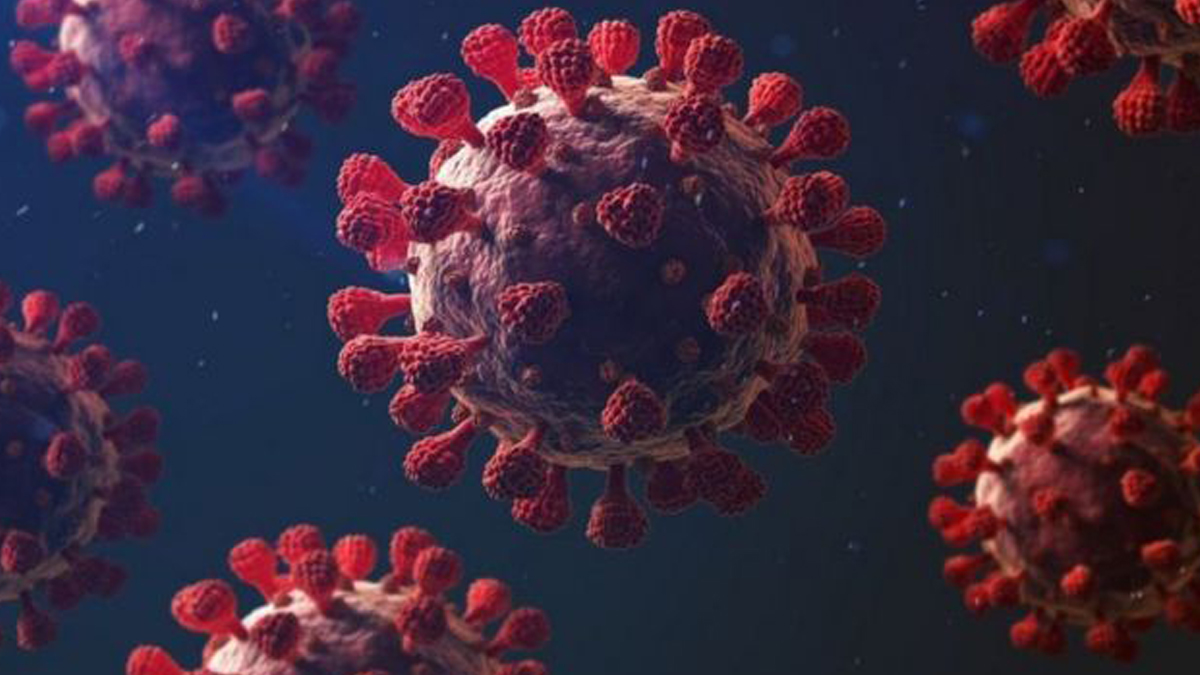 Yeni koronavirüs Avustralya'da da saptandı