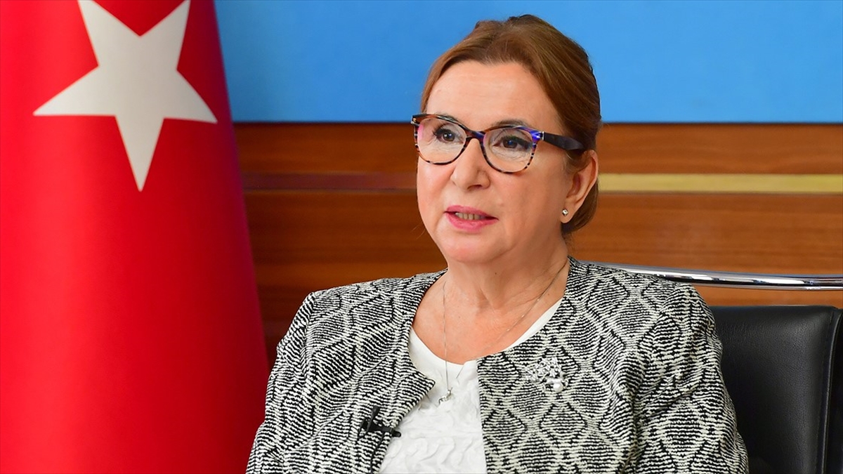 Ticaret Bakanı Pekcan'dan İngiltere açıklaması