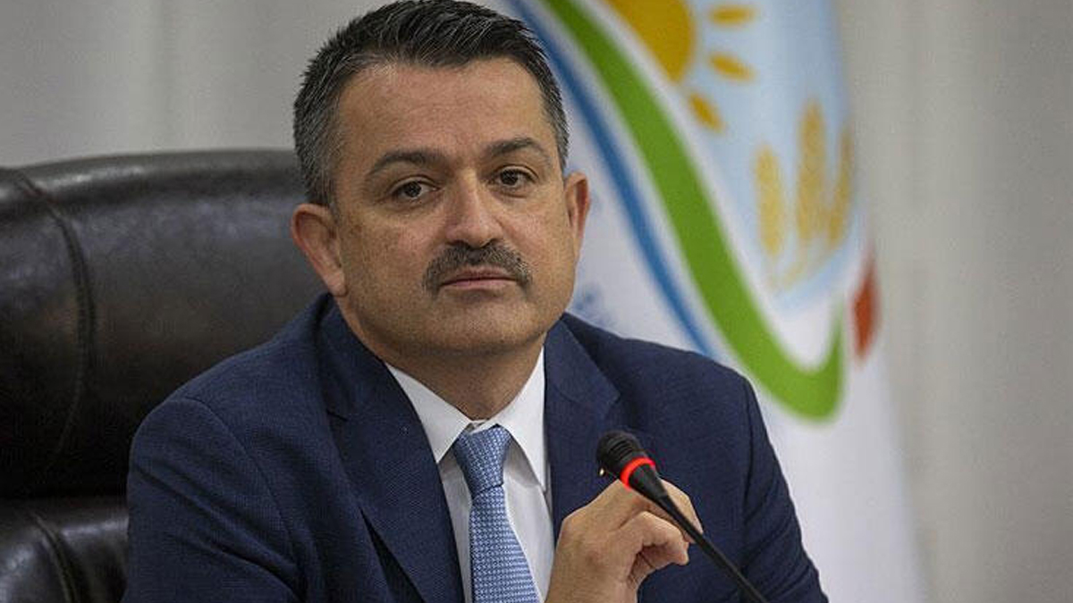 Bakan Pakdemirli açıkladı: Paralar hesaplara yatmaya başlıyor