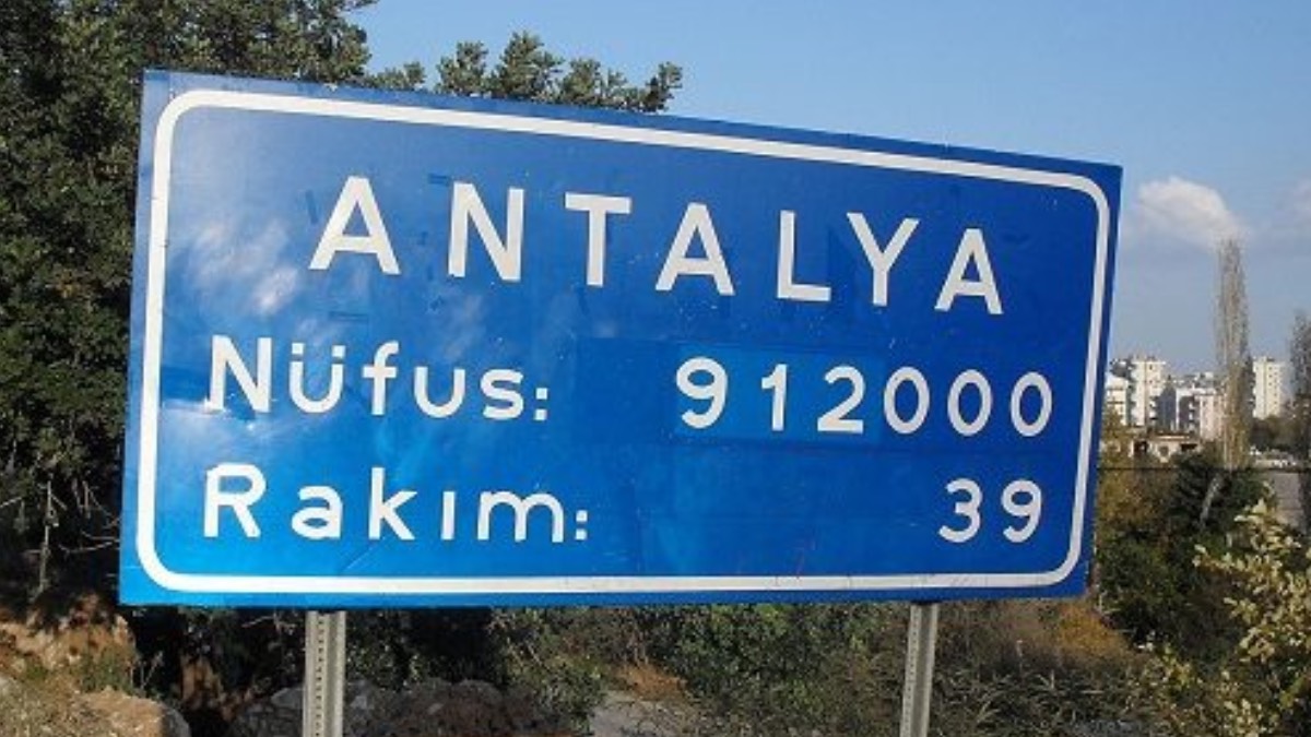 Antalya'da 12 köpek zehirlenerek öldürüldü