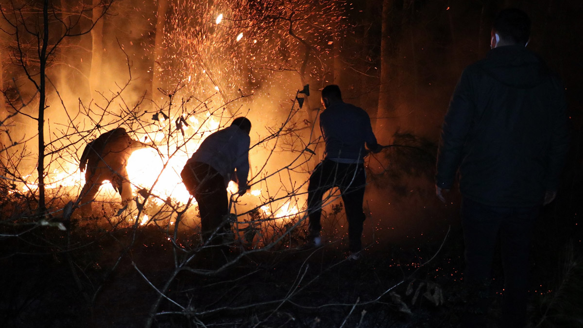 Sakarya'da madde bağımlıları İl Ormanını yaktı