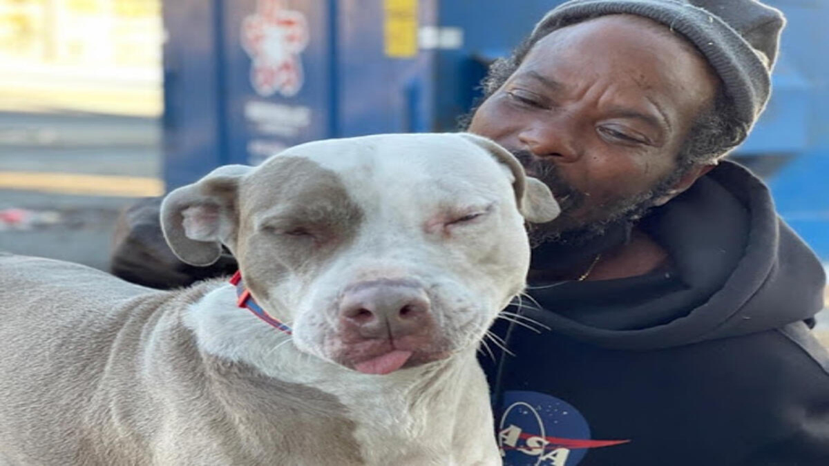 Evsiz adam hayvan barınağındaki bütün kedi ve köpekleri yangından kurtardı