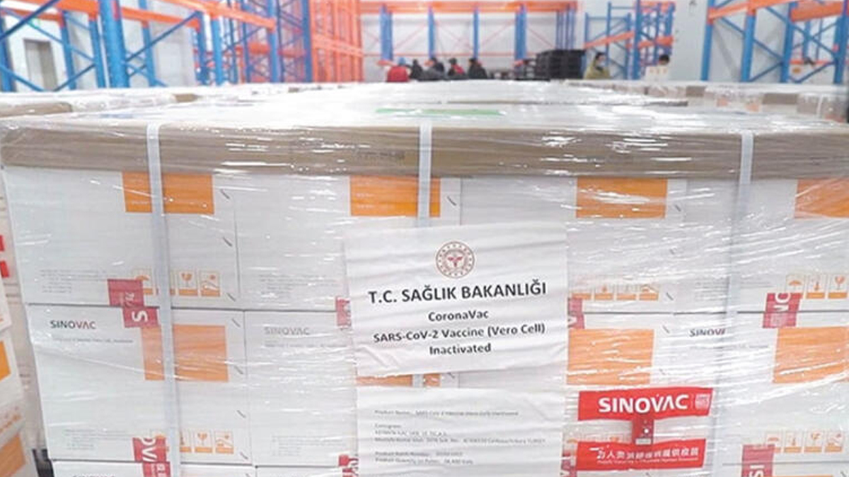 Korona aşısı Sağlık Bakanlığı'nda: 14 günlük süreç başladı