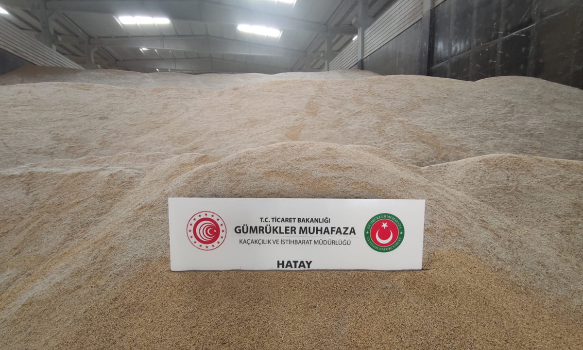 Binlerce ton genetiği değiştirilmiş pirinç ele geçirildi