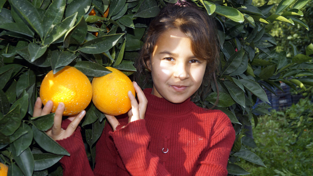 Koronavirüs fiyatları uçurdu! Dalında 4 lira