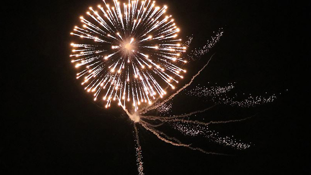 'Havai fişekler tamamen yasaklanmalı'