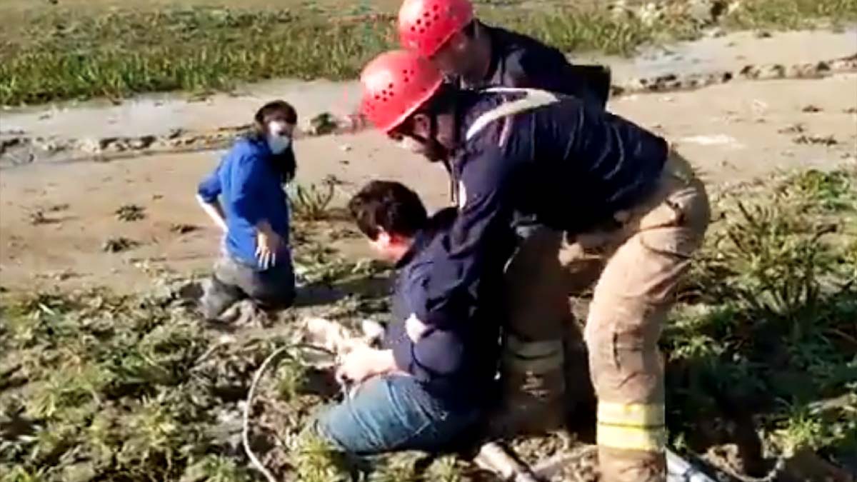 İBB, bataklığa saplanan gazetecileri kurtardı