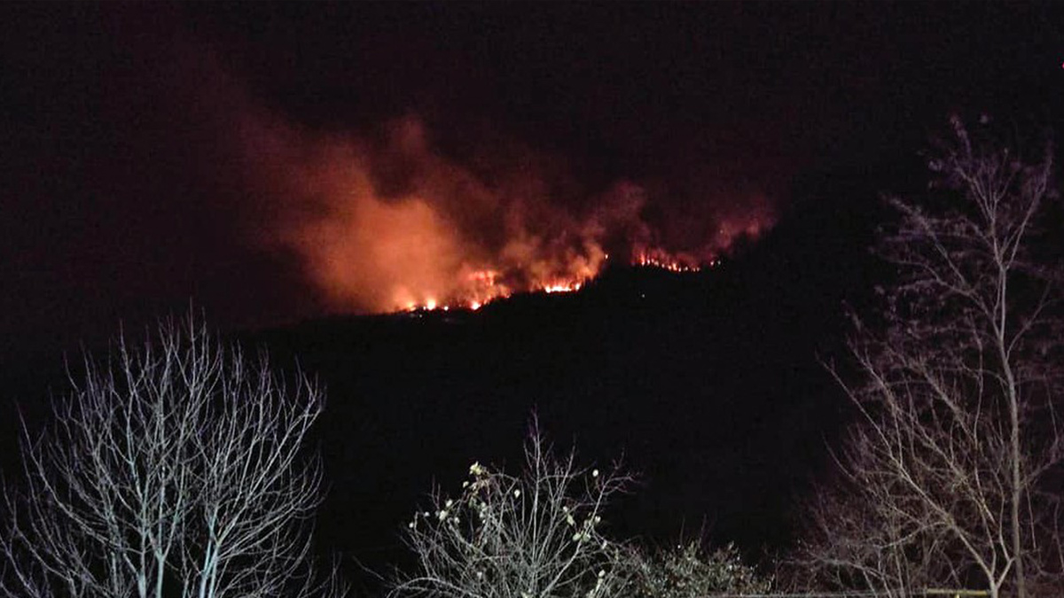 Giresun'da ormanlık alanda yangın çıktı