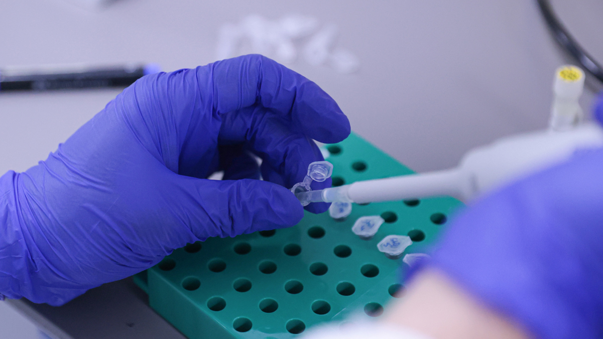 Yerli kovid-19 aşısında faz testi başlıyor