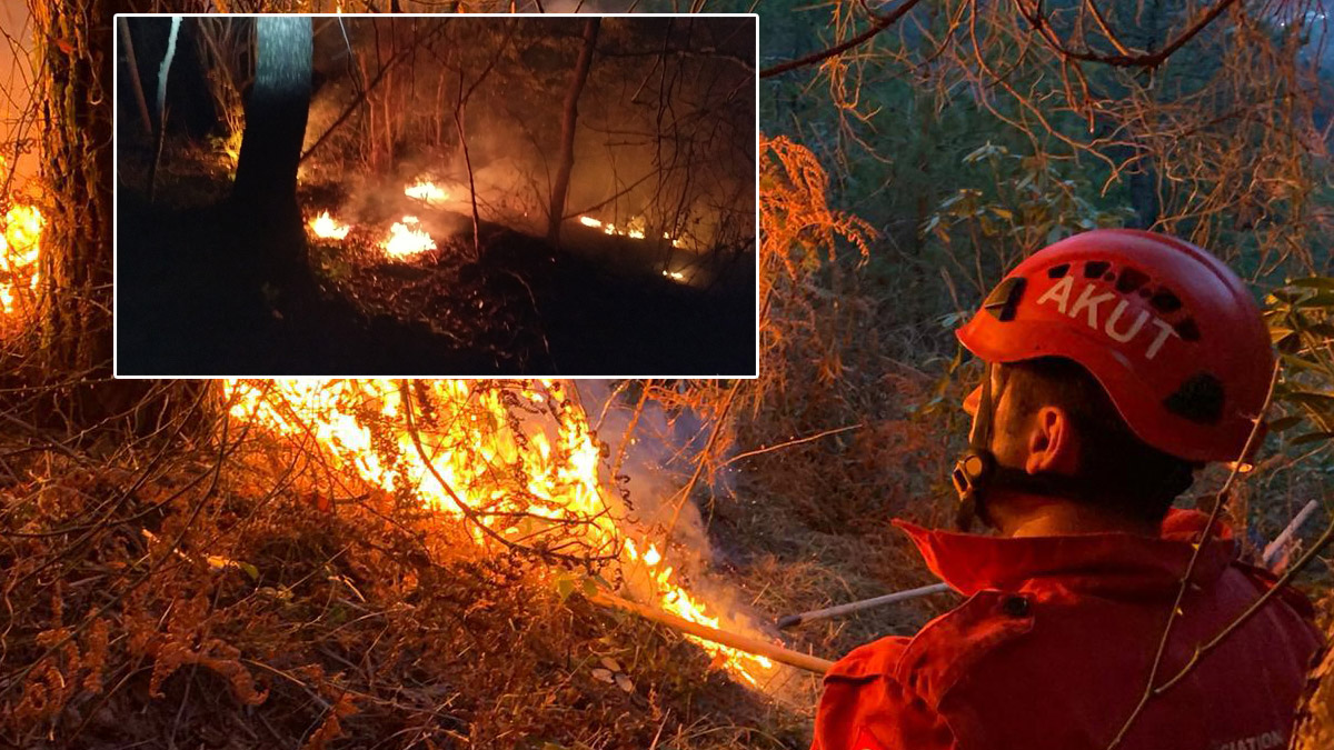 Karadeniz'de 4 ilde 23 farklı noktada orman yangını