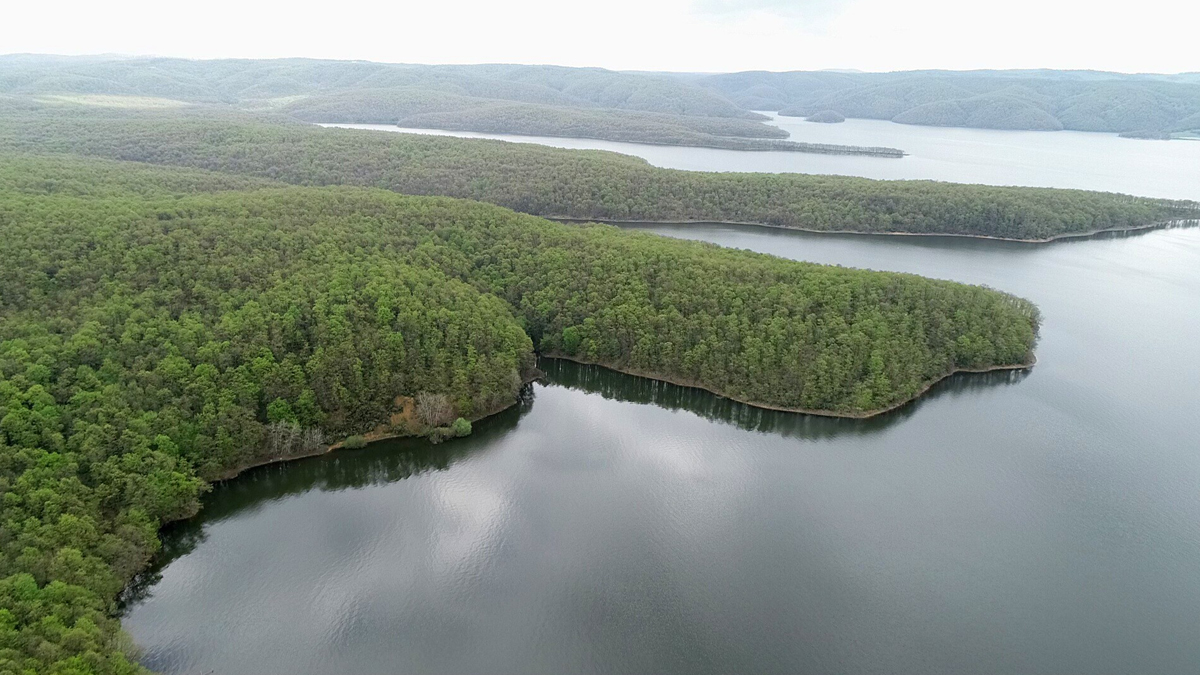 Yağışlar fayda etti: İstanbul'da barajlar dolmaya başladı