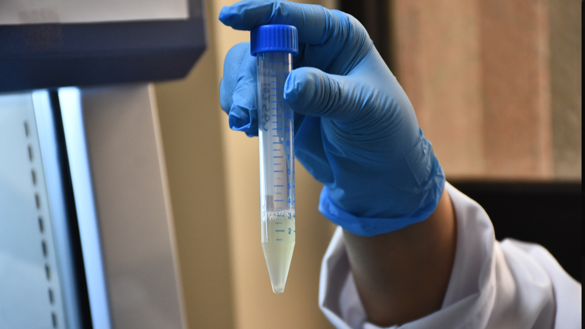 Türkiye'nin ilk mRNA aşısı yaz aylarında kullanıma hazır