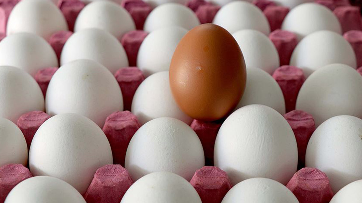 Yumurtada üretim düşüyor, fiyatlar yükseliyor