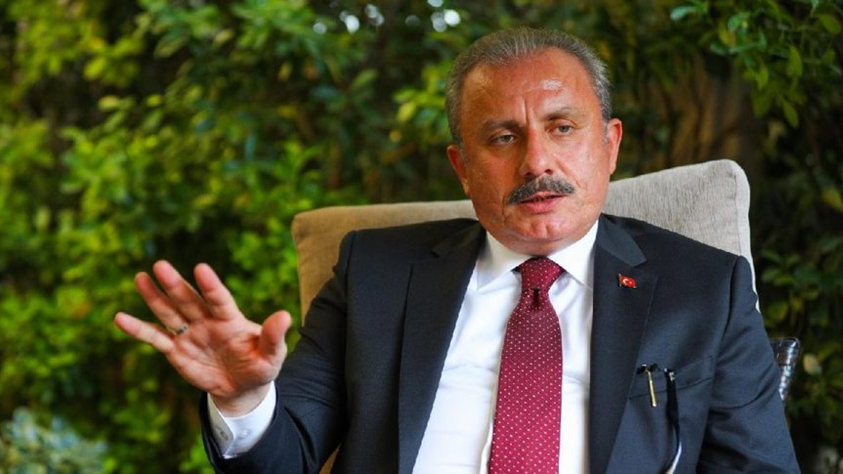 Şentop'tan iç tüzük çıkışı: Sisteme uygun olması lazım